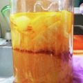 ネコの缶詰's cooksnap of when they made ホームメイド果実酒：河内晩柑.