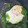 jyurinrin's cooksnap of when they made 簡単！美味しい！ほうれん草のハムエッグ！.