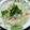 プルンバゴ's cooksnap of when they made おじや　体調不良の時　などに.