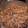 クックHJIJJQ☆'s cooksnap of when they made 豚肉ともやしと卵のオイマヨ炒め.