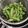 miico31's cooksnap of when they made 簡単！枝豆のおいしい茹で方.