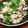 クックM96XDX☆'s cooksnap of when they made ❖豚ヒレ肉の和風おろしソテー❖.