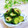 Satoco❋'s cooksnap of when they made ＊簡単一品＊娘から教わったキュウリの漬物.