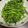 のぶママ☆'s cooksnap of when they made 空芯菜の炒め物.