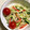 ☆yopipi's cooksnap of when they made やみつき！もやしのマヨポン和え.