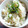 ち～ぃみぃ's cooksnap of when they made 新しょうがご飯.