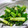 yukiはぴ's cooksnap of when they made やみつき!!旨ネギ!!.