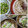 ひっこ's cooksnap of when they made ほっこりおいしい そらまめの白あえ.