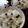 ひっこ's cooksnap of when they made 関西はうすいえんどう豆の豆ご飯.