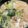 クックM6DK2O☆'s cooksnap of when they made ふわっととろろ芋のたっぷりきのこ鍋.