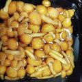 yama_miu's cooksnap of when they made 冷凍保存した「なめこ」を解凍すると.
