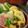 ゆみクローバー's cooksnap of when they made 小えび入りだし巻き卵.