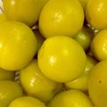 みーたろす0918's cooksnap of when they made カリカリ梅の素を使わない自家製カリカリ梅.