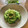 真さん's cooksnap of when they made たっぷり生姜とゴーヤの炒め物.