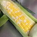 ♡マッキークッキング's cooksnap of when they made とうもろこしの・まるごと！コーンパン.