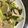 みにー2020's cooksnap of when they made 里芋✿豚肉✿小松菜のにんにく炒め.