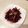 クックKOQ92X☆'s cooksnap of when they made ビーツのきんぴら.