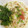 rieconn's cooksnap of when they made 簡単！さっぱり！梅おろしうどん.