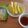 Nekozame's cooksnap of when they made 青いマンゴとグアバの食べ方.