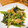 クックWW100Y☆'s cooksnap of when they made 小松菜とえのきのごまみそ和え.