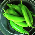 飯炊き女ナナ's cooksnap of when they made ＊スナップエンドウ～技ありの茹で方＊.