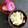 ひさかた's cooksnap of when they made 減塩かぶの漬もの生姜風味.