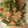 ベティ３'s cooksnap of when they made 納豆とにらのあえ物.