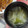 花時計咲いた's cooksnap of when they made モヤシと大根とワカメのお味噌汁♡.
