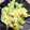 もにゃっこ's cooksnap of when they made スナップエンドウとゆで卵のサラダ.