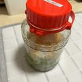 あちゅう's cooksnap of when they made '06 梅シロップの記録(氷砂糖使用).
