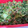 ☆motsu☆'s cooksnap of when they made すぐできる！桜えびとカブの葉のふりかけ.