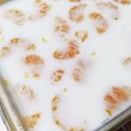 がもきちくん's cooksnap of when they made みかん缶入り牛乳寒天♪♪.