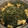 クックSK1RLI☆'s cooksnap of when they made 《簡単♪小鉢》切り昆布の油炒め.