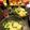 マックスの母's cooksnap of when they made 簡単シーザーサラダドレッシング☆.