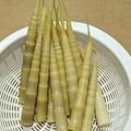 ラリー＆サラ's cooksnap of when they made 細竹（姫竹・月山竹）の下処理.