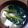 クック00Q0QZ☆'s cooksnap of when they made ✿にんにくの芽と油揚げの味噌汁✿.