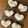 さわきり's cooksnap of when they made ふわもち☆クランベリーの白パン。.