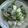 kirinda's cooksnap of when they made 白菜とツナの塩もみ☆.