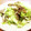 かなりんココりん's cooksnap of when they made お弁当に!キャベツと舞茸のパッと炒め.
