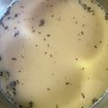きゃろぽて's cooksnap of when they made こだわりスパイスの本格チャイティー.