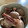 おかすんよ's cooksnap of when they made スルメイカとさといもの煮物。.