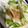 みにー2020's cooksnap of when they made ちくわ入り簡単和風サラダ✿.