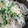 クック22KV4U☆'s cooksnap of when they made ざるそばにかいわれ大根♡ おしゃれ.