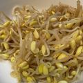 むちmuchiko's cooksnap of when they made オモニ直伝☆豆もやしナムル.