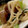 MULA's cooksnap of when they made そうめん マヨ炒め〜♪.