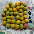 クックJOEさん's cooksnap of when they made 梅干しを柔らかく仕上げるための梅の追熟.