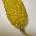 じゃけさんご's cooksnap of when they made レンジで茹でトウモロコシ.