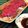 クック☆やーっ！'s cooksnap of when they made 馬刺しは玉ねぎで.