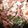 ♬あじさいのレシピ♬'s cooksnap of when they made 簡単5分！肉豆腐.