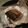 kazumeiap's cooksnap of when they made 塩サバはフライパンで！.